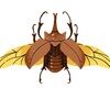 velvetbeetle